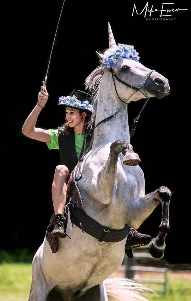 A woman riding a white horse decorated with a blue floral headpiece and a unicorn horn, holding a riding crop, against a black background.