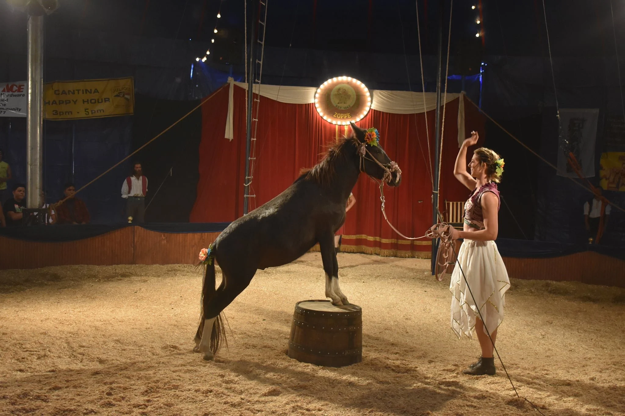 A female circus performer stands next to a horse that is balancing on a barrel inside a circus ring with a red curtain backdrop and spectators in the background.