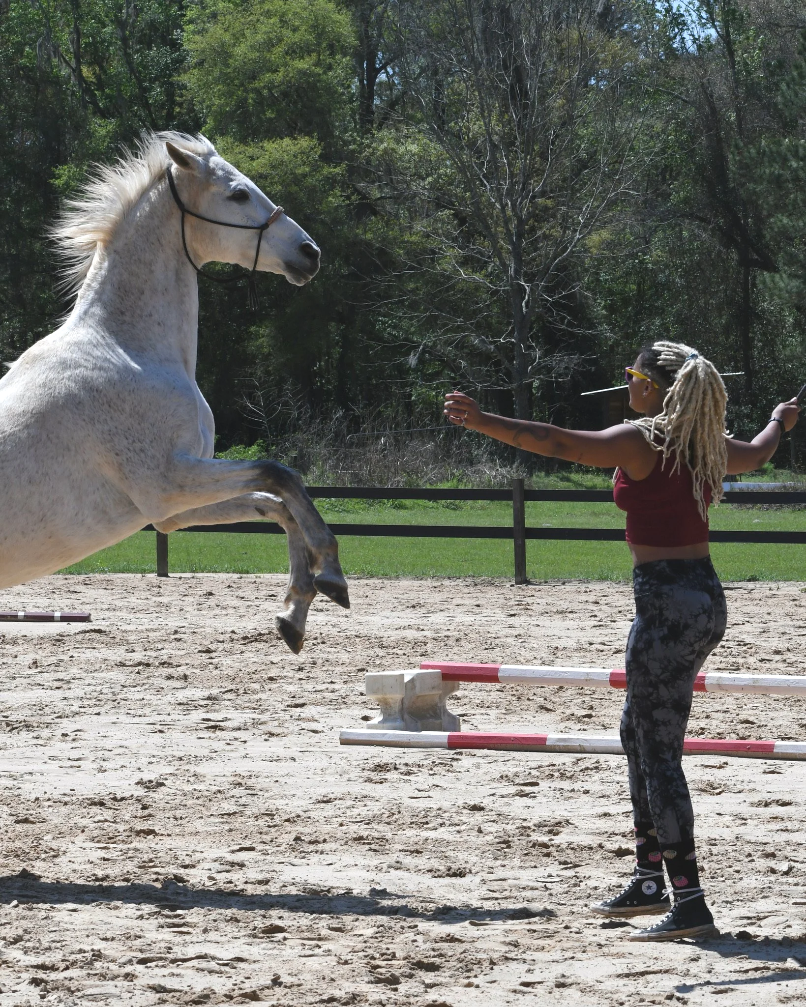 A woman with blonde dreadlocks, sunglasses, a red sleeveless top, and black and white patterned leggings is standing in a sandy outdoor area, extending her arms towards a white horse that is rearing up on its hind legs. The setting appears to be a riding arena with green grass and trees in the background.