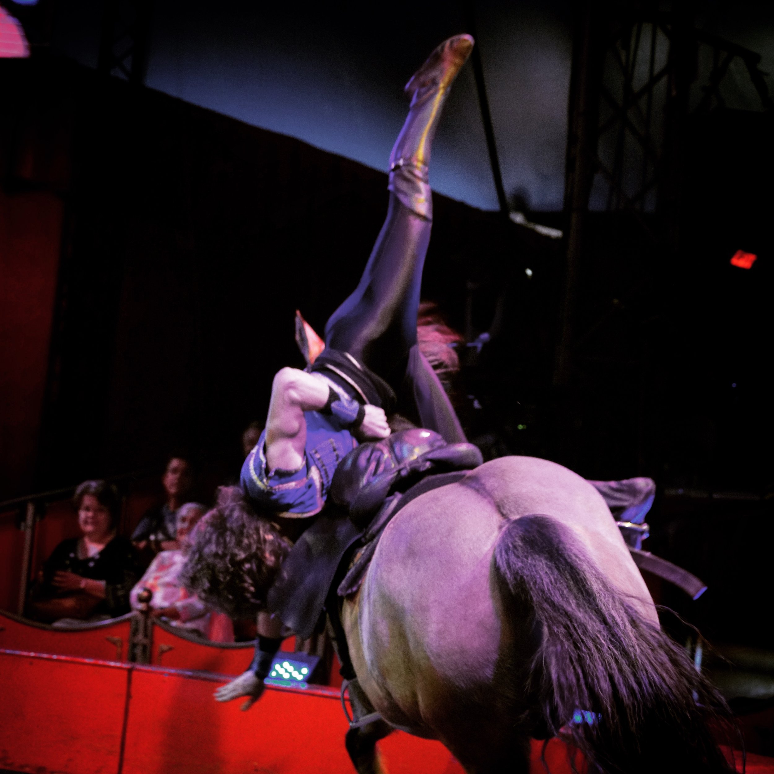 Circus performer riding a horse, performing a trick with one leg raised high in the air, in an indoor arena with an audience watching.