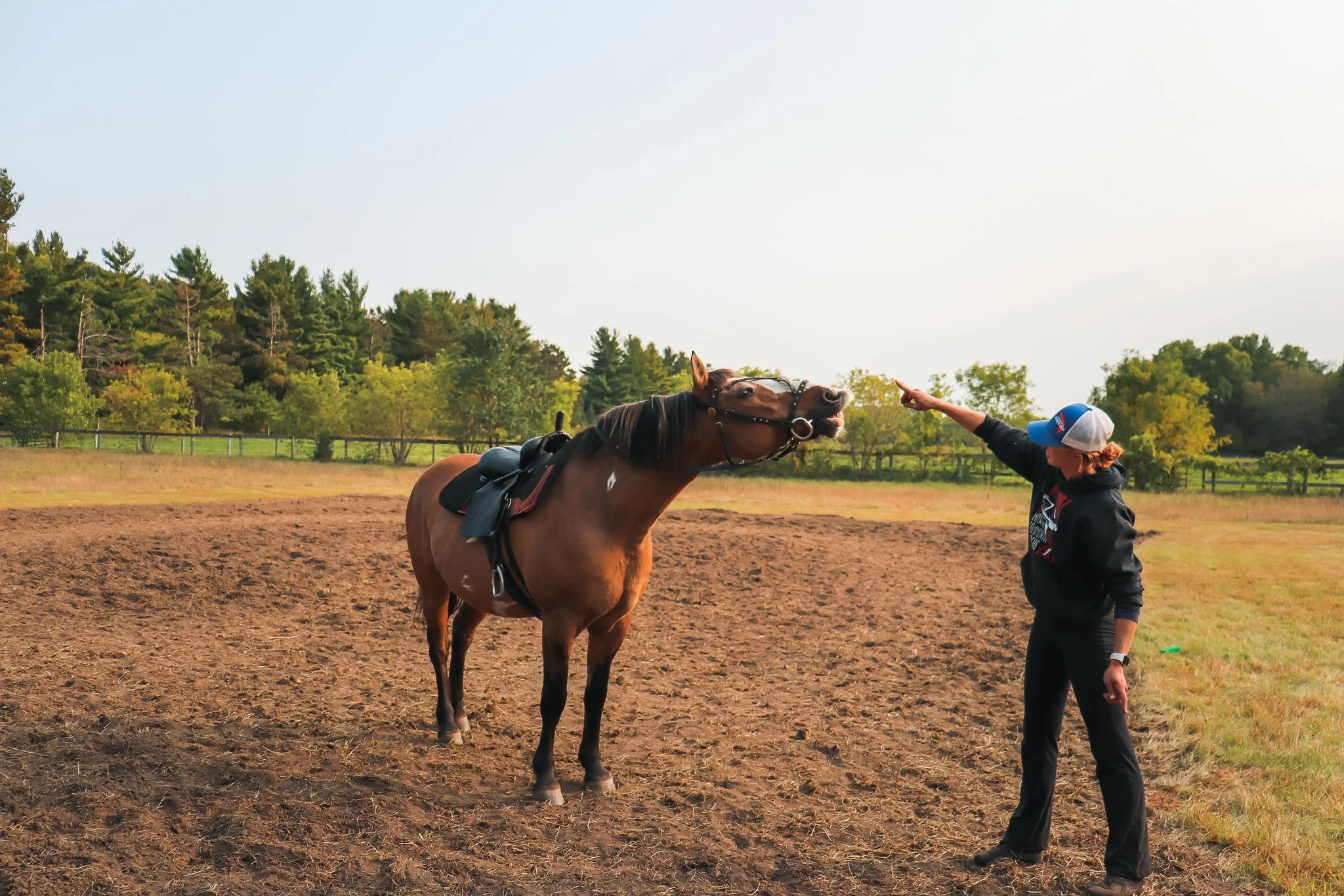 Person standing in a dirt field pointing at a brown horse with a saddle and bridle.