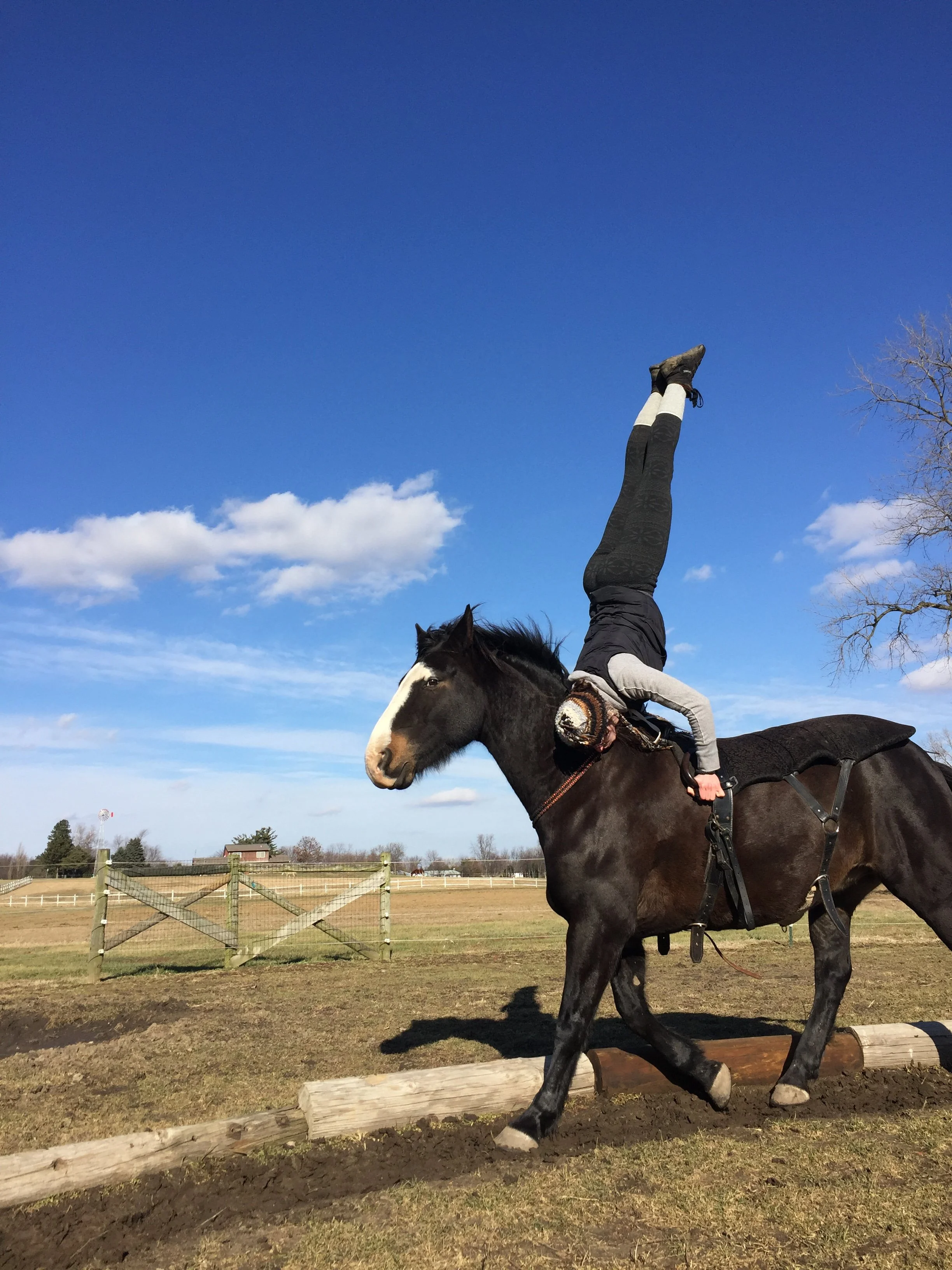 A person doing a handstand on the back of a black horse in an outdoor riding arena under a blue sky.