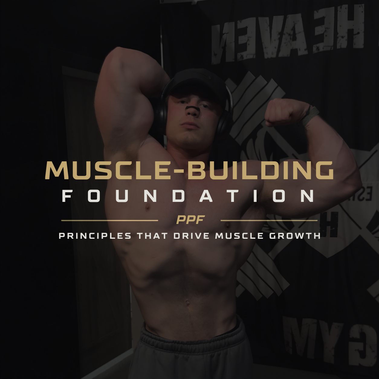 The Foundation of Muscle-Buildling