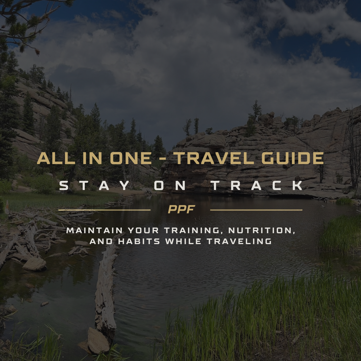 The PPF Travel Guide