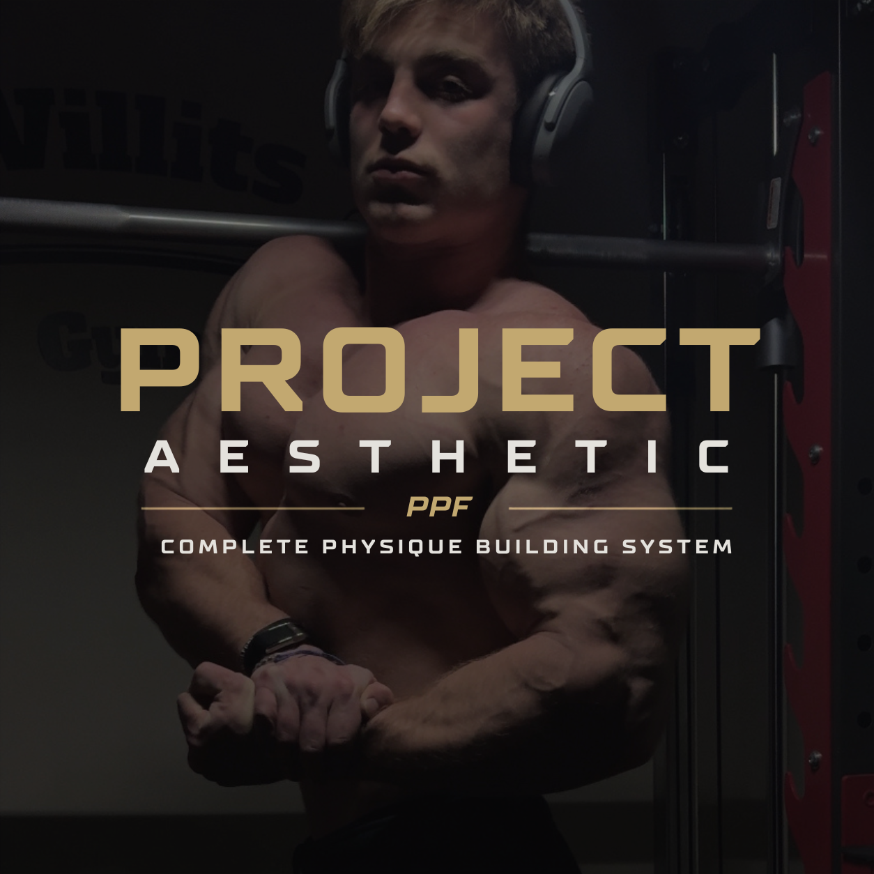 Project Aesthetic