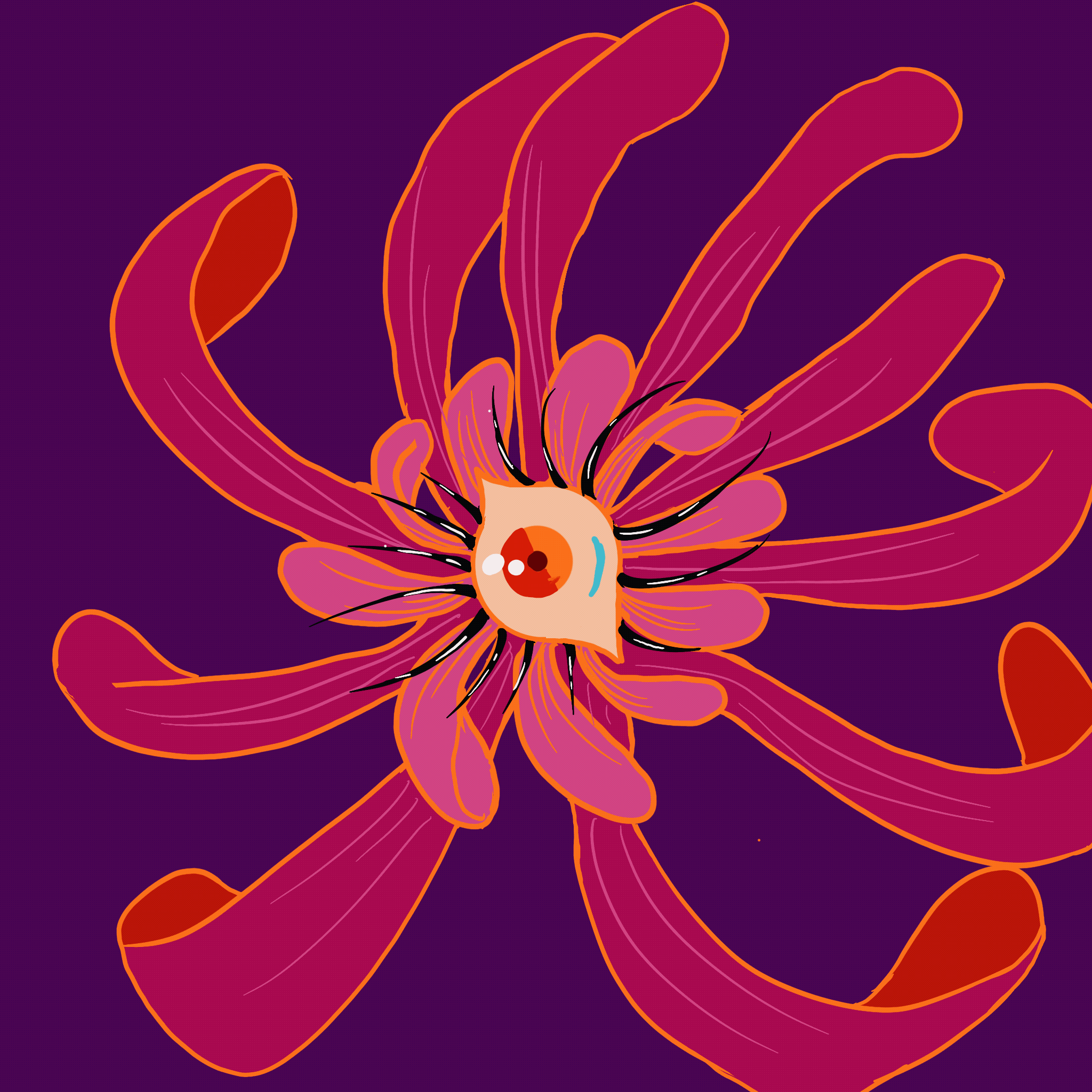 Animation