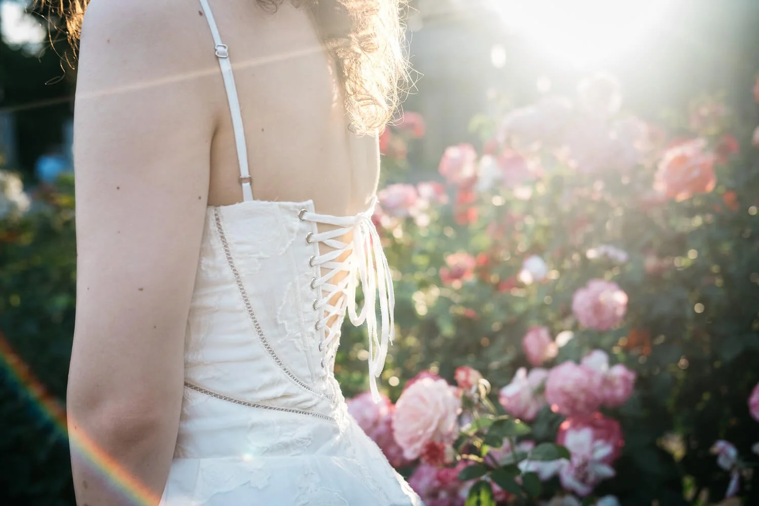 Backlit profile of woman wearing white dress with corsetted back, surrounded by pink roses.