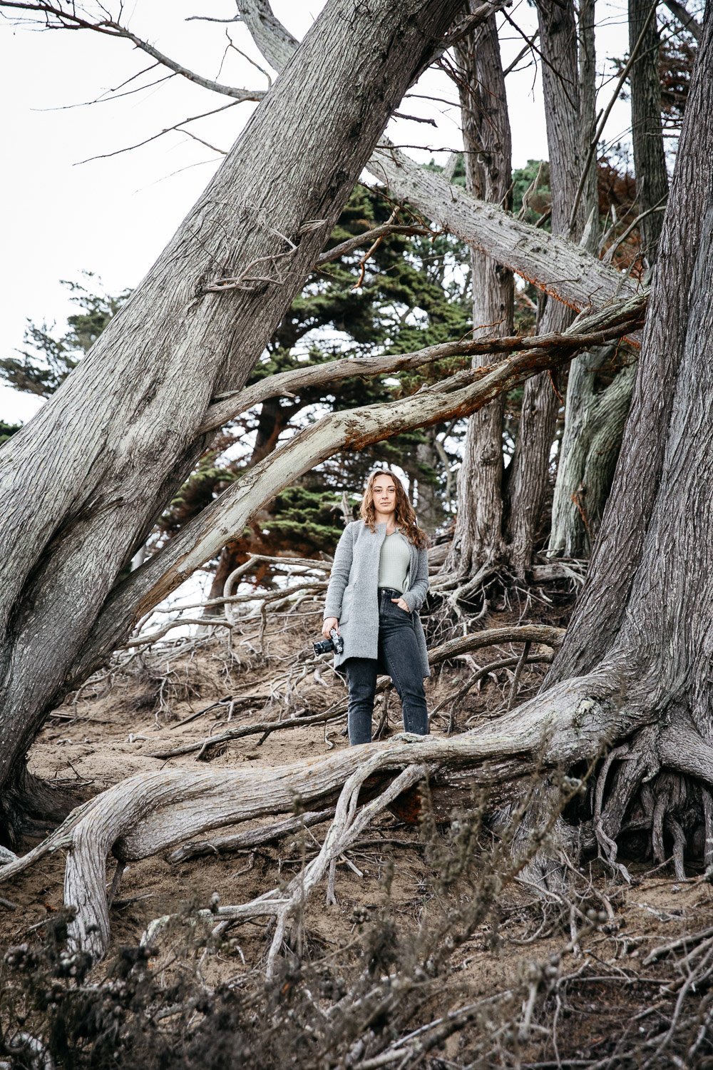 environmental portrait of photographer Toni Toscano through tree branches, shot at Baker Beach in San Francisco by brand photographer Allison Busch Photography 