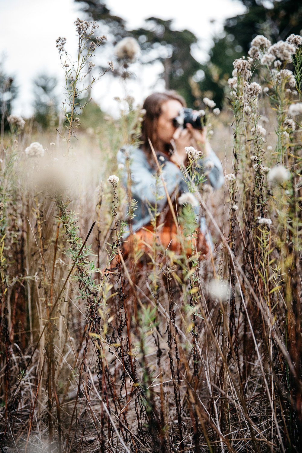  brand portrait of photographer Toni Toscano taking a photograph in a meadow of wildflowers at sunset, shot in the Presidio in San Francisco by brand photographer Allison Busch Photography 