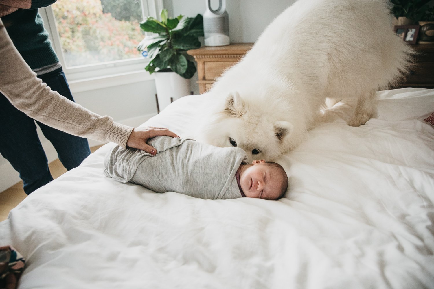 newborn home session in San Francisco by Allison Busch Photograp
