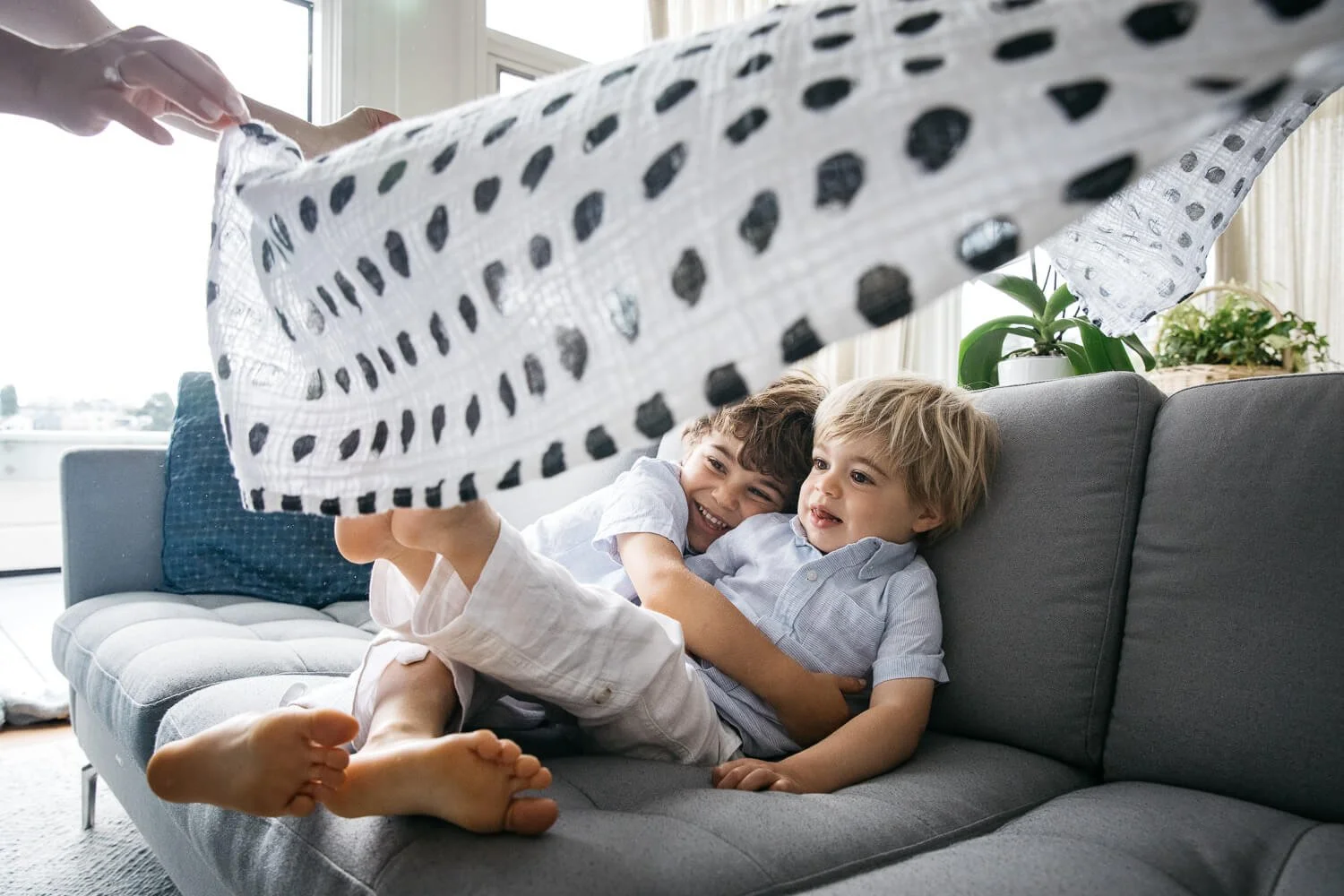Two young boys cuddle on couch while mom billows a polka dotted blanket above their heads, shot during family photo session at home.