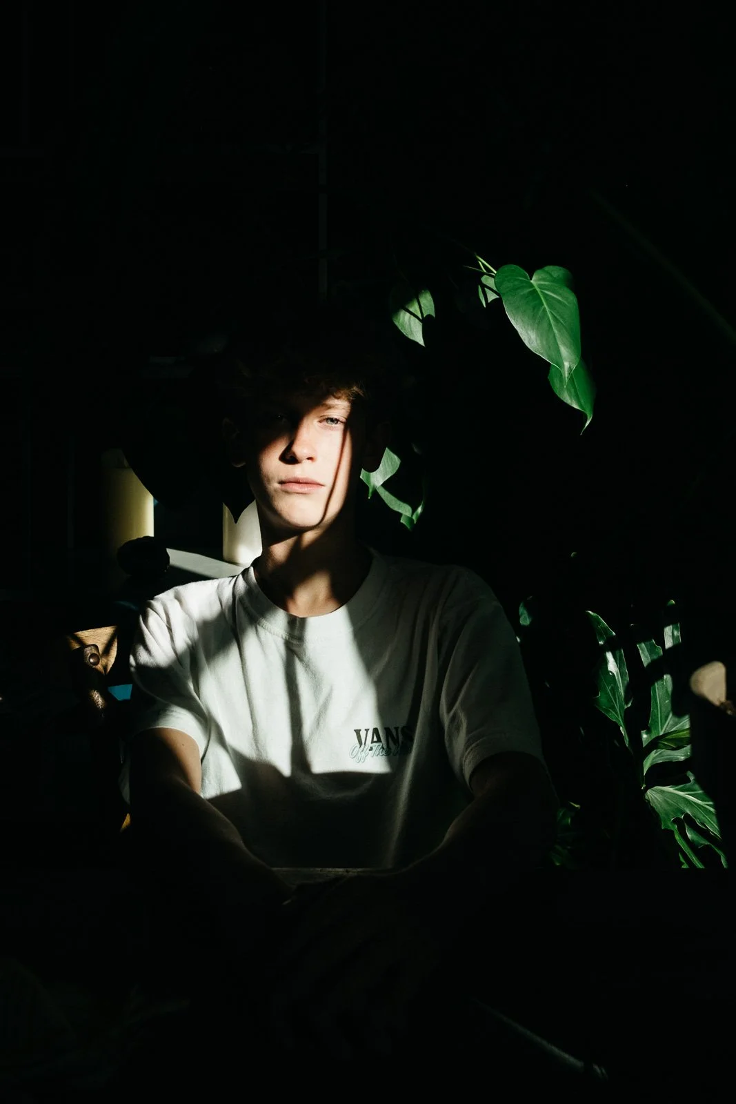 Boy sits in room with green plants, surrounded by dark shadows, with one slices of bright light slicing into frame and lighting up his face and chest.