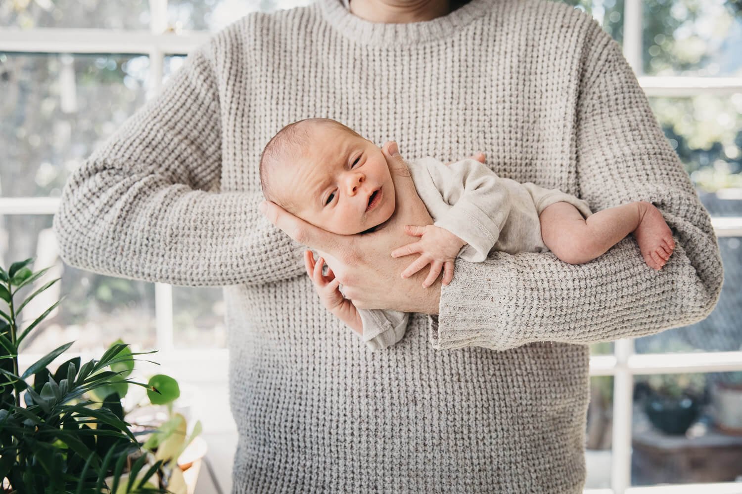 Newborn draped over Dad's forearm and gazes into camera, surrounded by large windows and plants.
