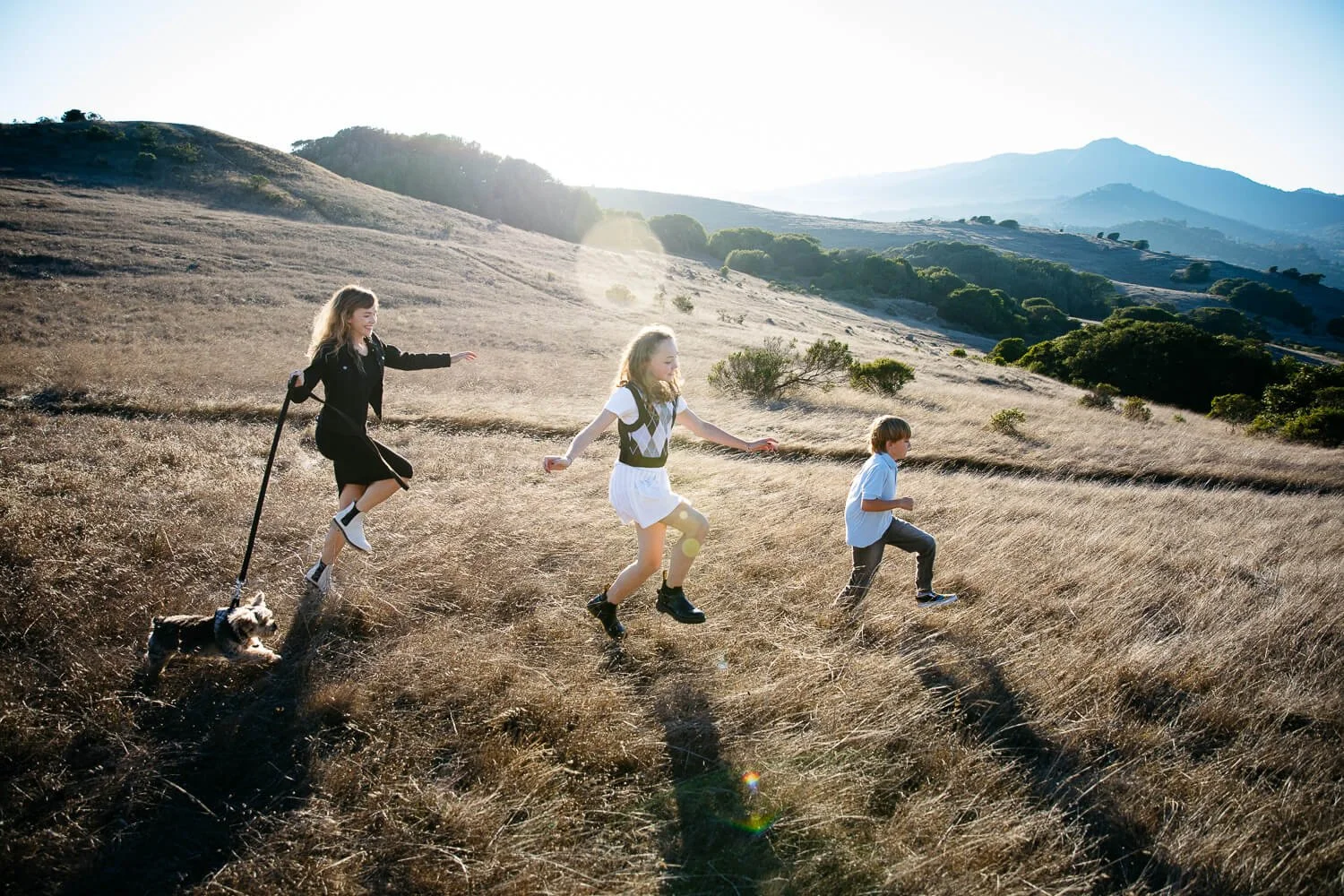 Single mom and 2 kids and small dog frolic through field of golden grass at Ring Mountain. A sun flare crosses the picture as the golden hour sun sets behind them.