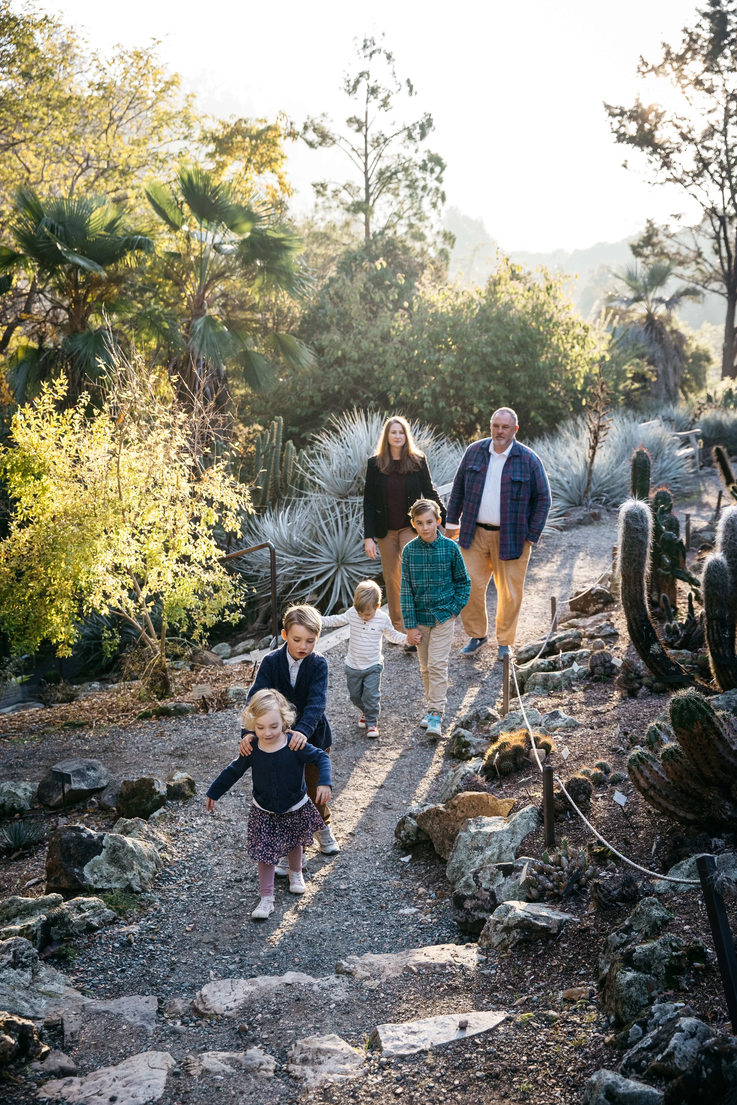 Family with four little kids walk through the cactus garden during sunset at UC Berleley Botanical during family photography session.