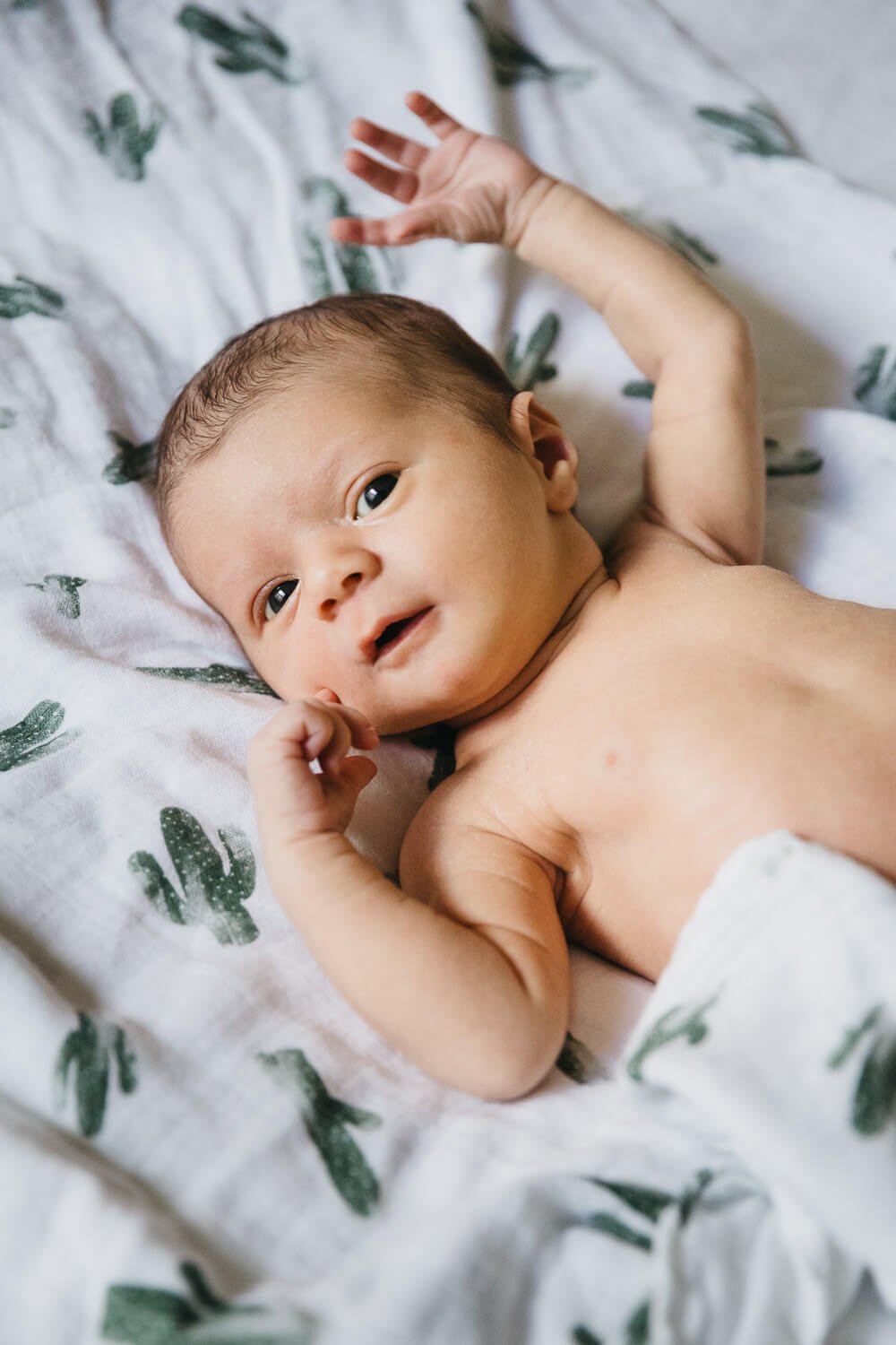 Naked baby lying on and wrapped in blanket with green cactuses.