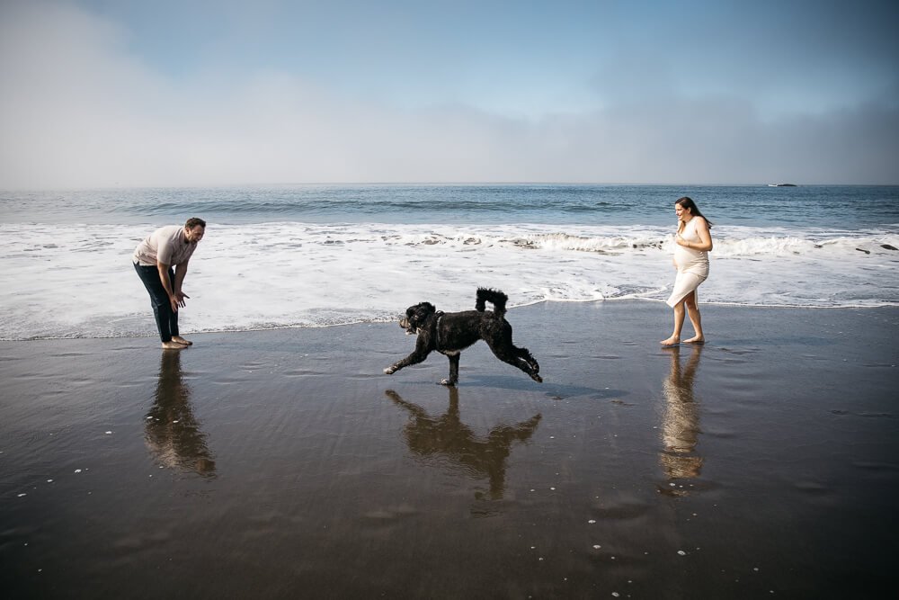 Profile shot of pregnat woman and husband playing with black dog in the surf of Muir Beach.