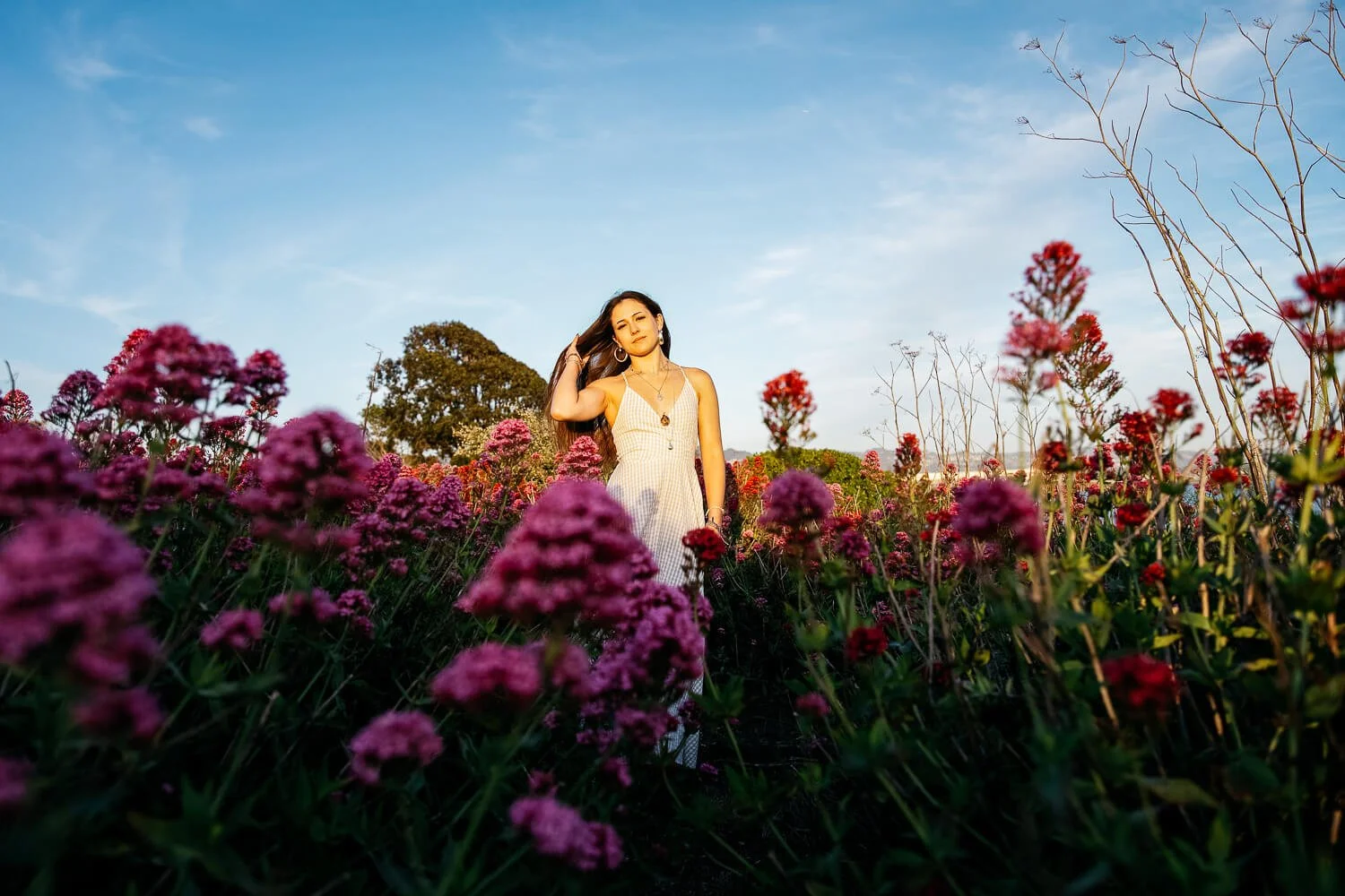 Berkeley senior photographer photographs high school senior standing among purple wildflowers at the Albany Bulb.