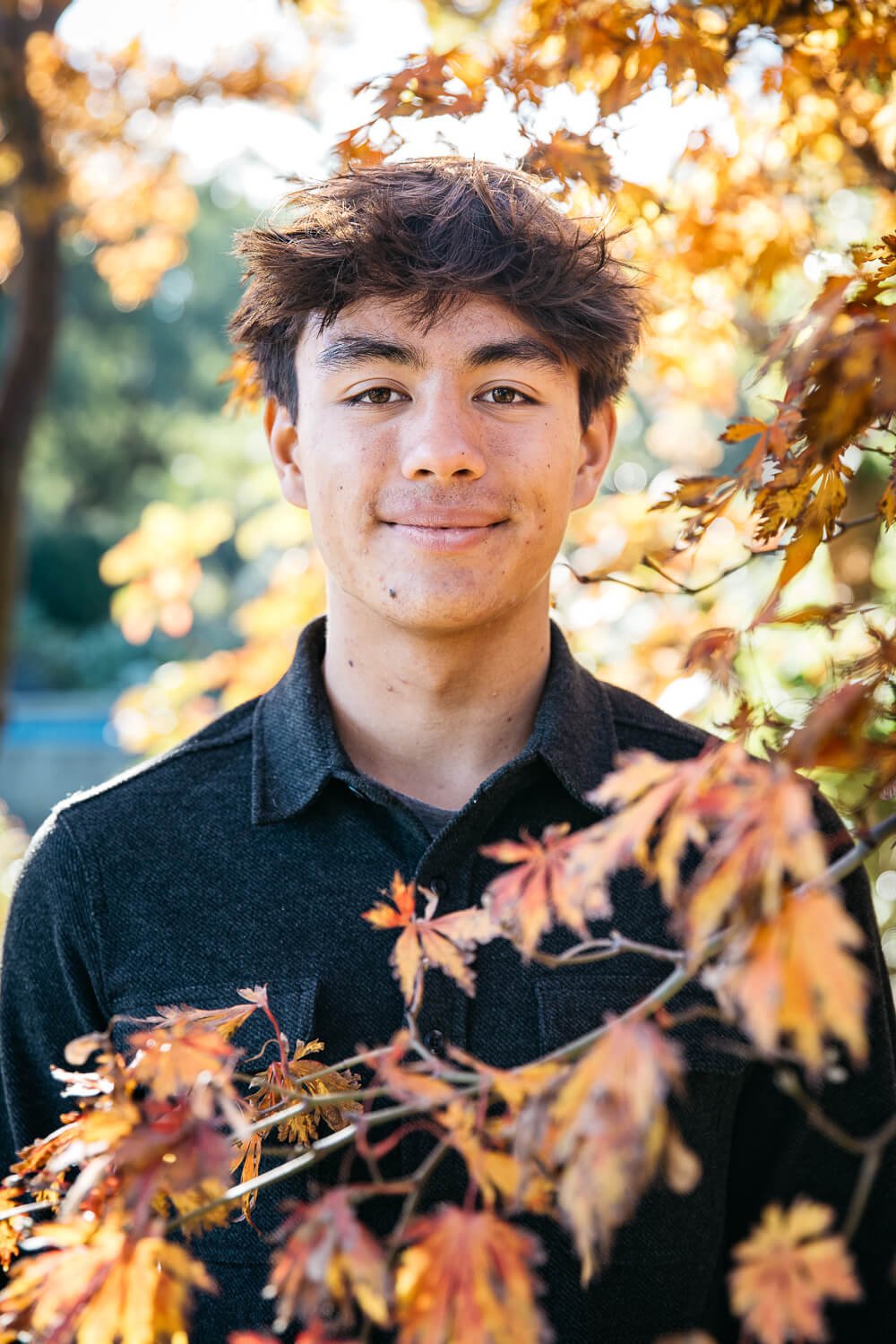 Senior portrait of boy standing among orange maple leaves, shot at Heather Farms in Walnut Creek.