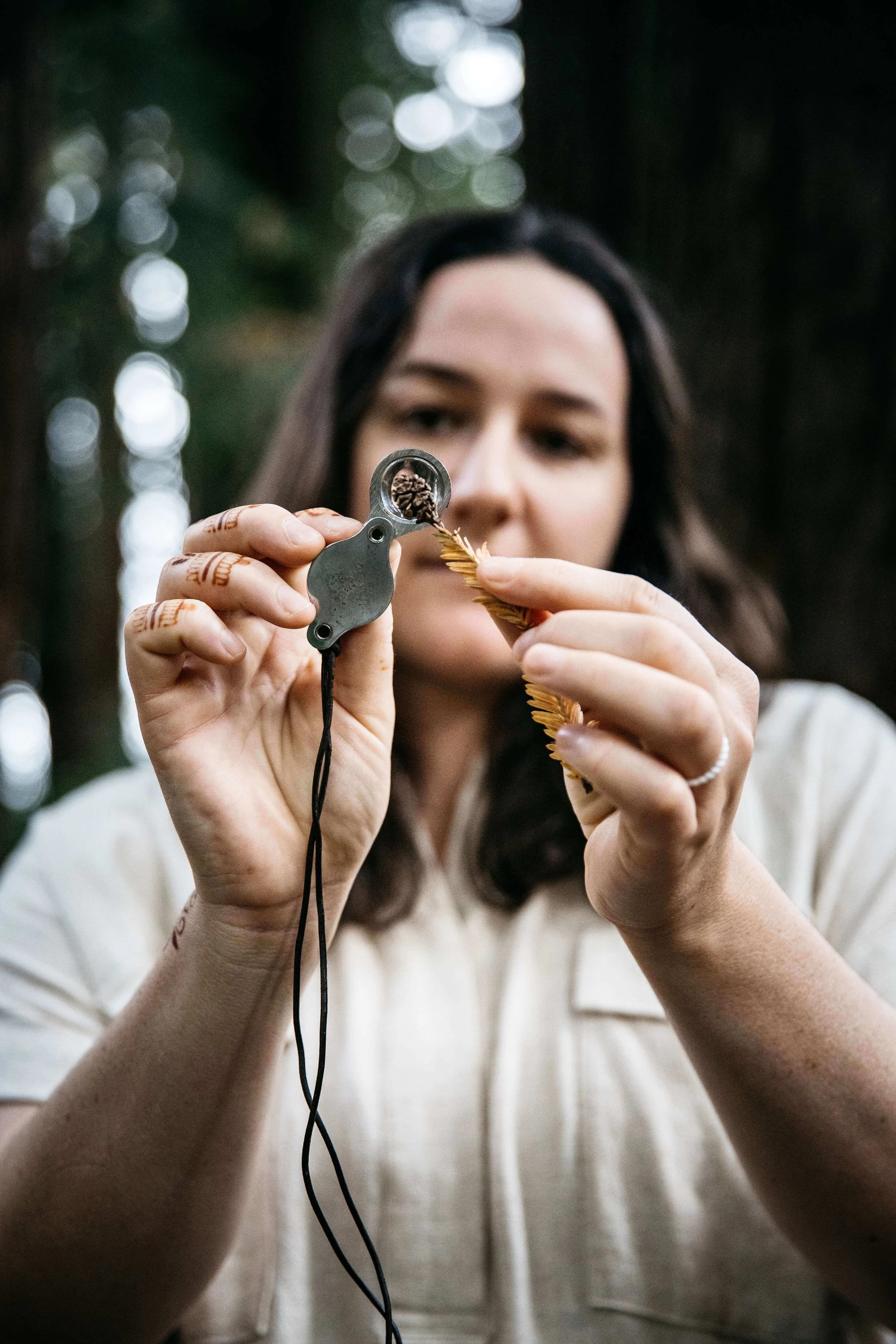 Naturalist holds viewing loupe in front of tiny redwood cone, shot during brand photo session for the Biomimicry Institute.