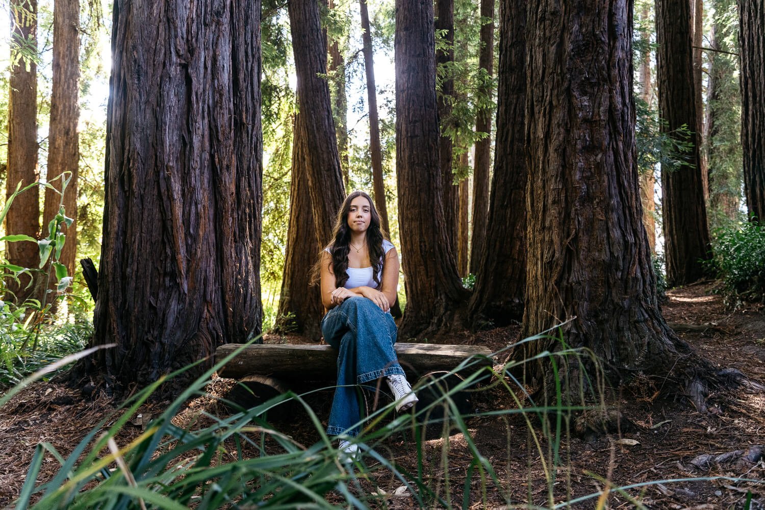 Teen girl in white tank and jeans sits backlit in redwood grove, shot during senior portrait session at Blake Garden in Kensington.