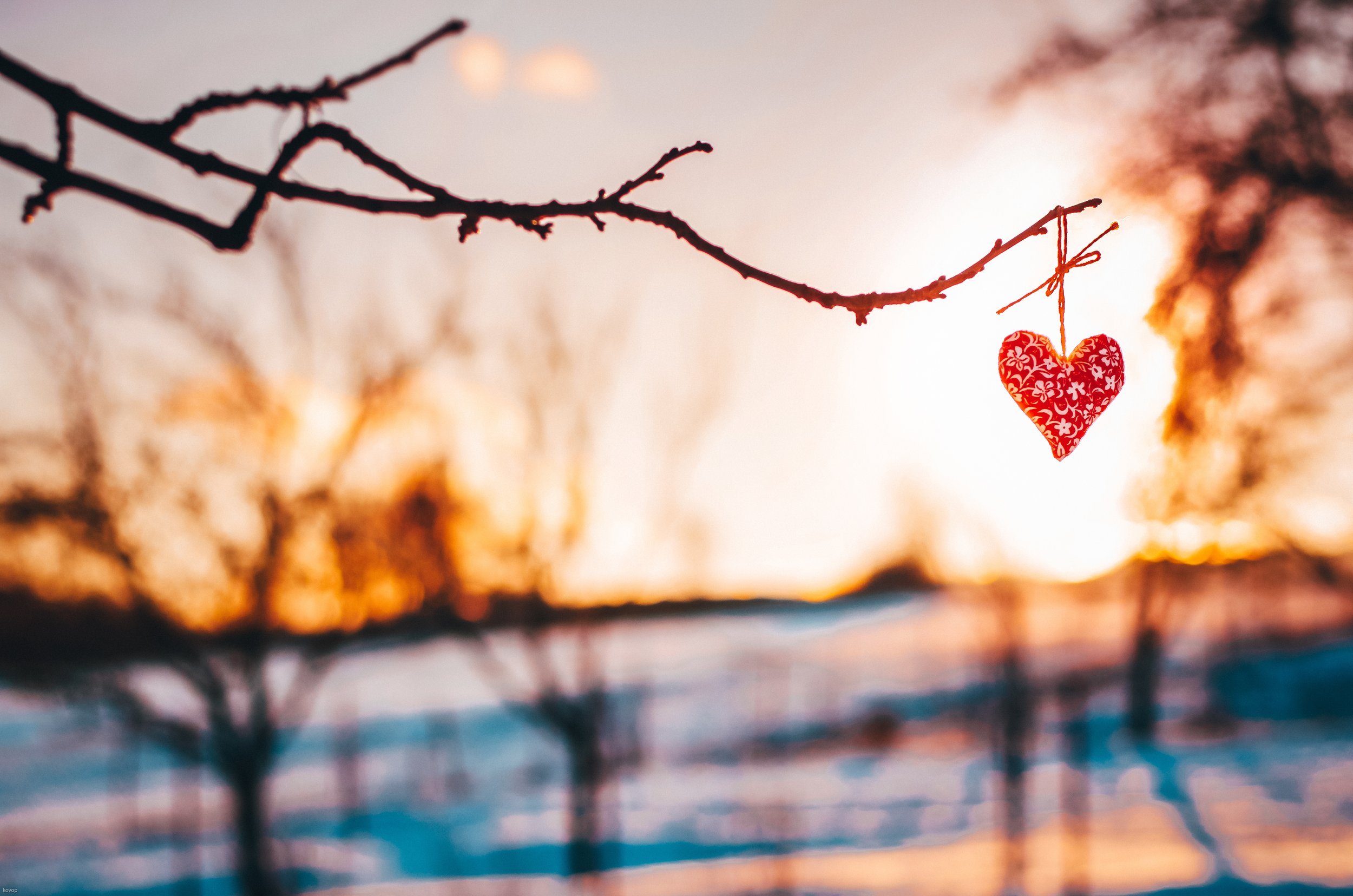 Valentines Photoshoot