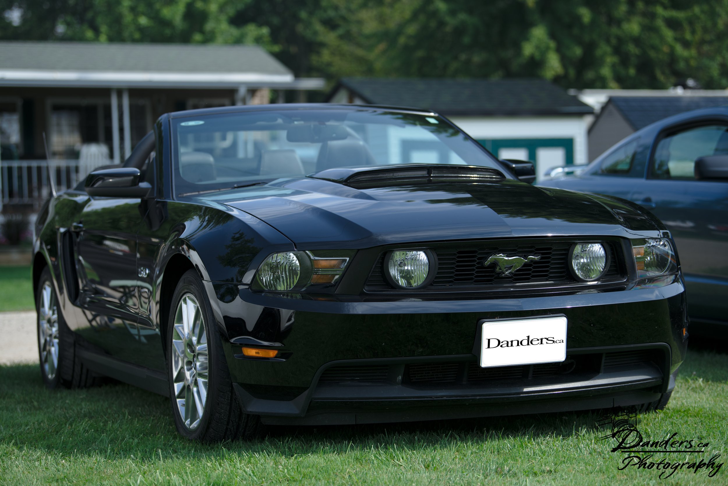DSC_3552.jpg