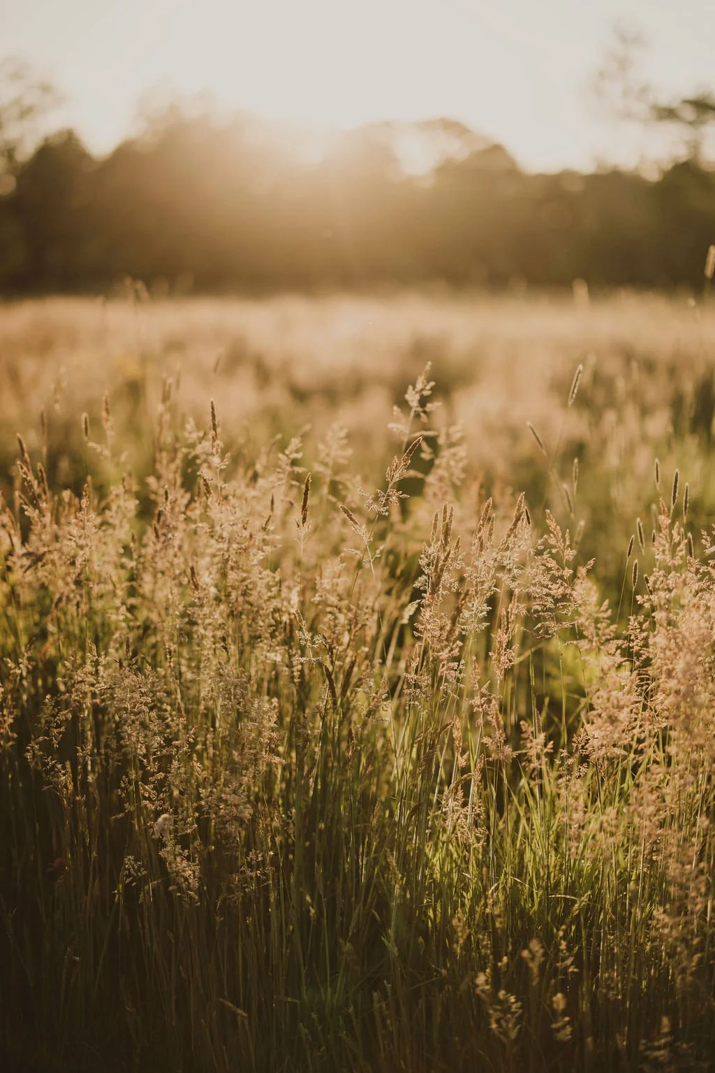 Candid Memories Studio