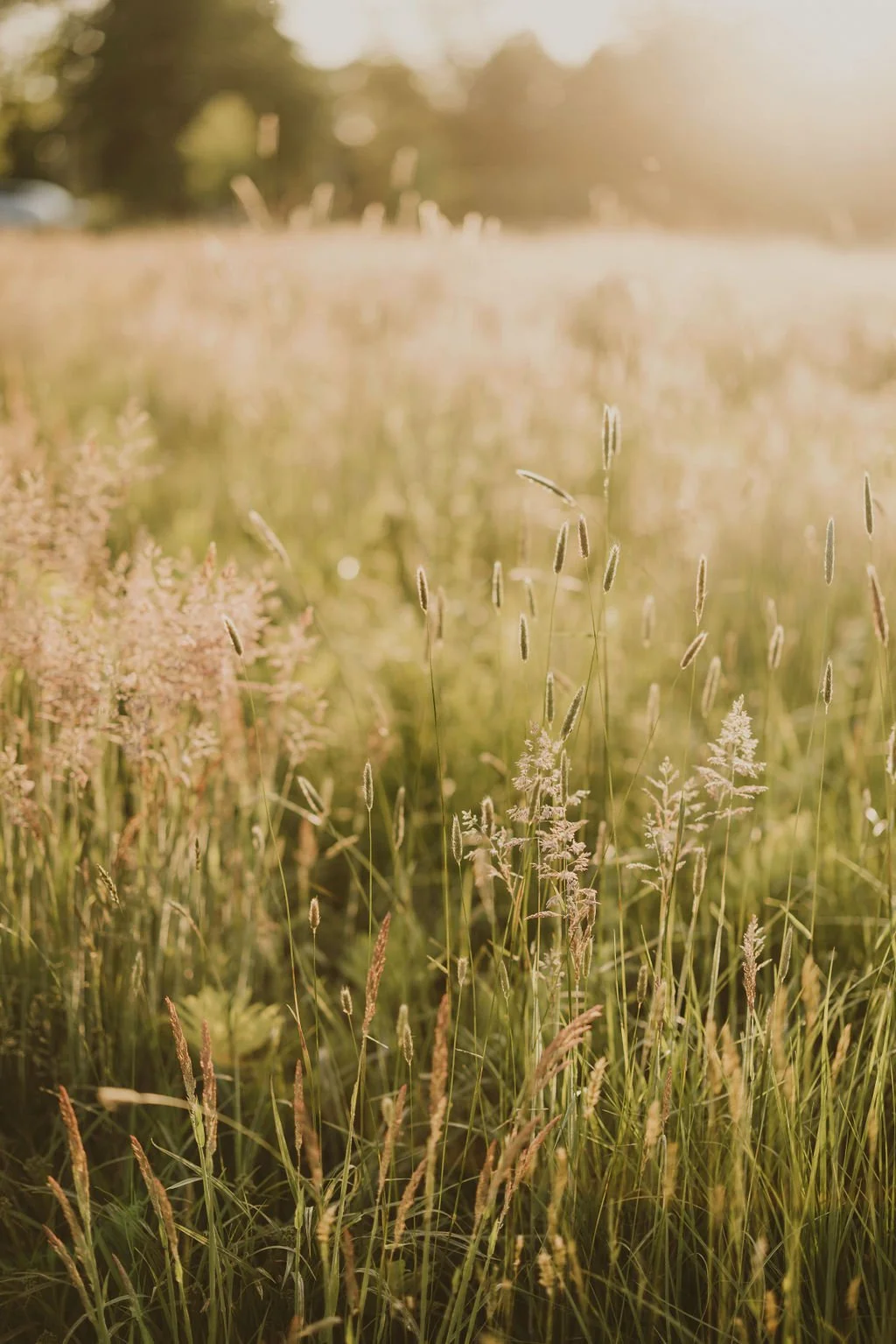 Candid Memories Studio