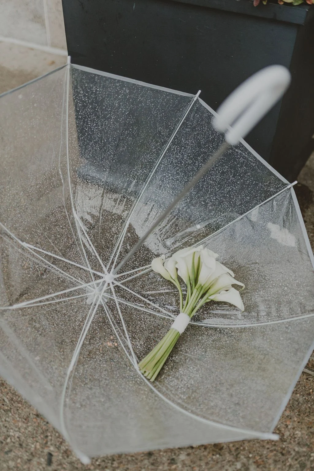 Candid Memories Studio