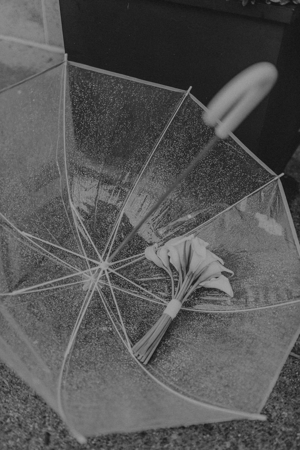 Candid Memories Studio