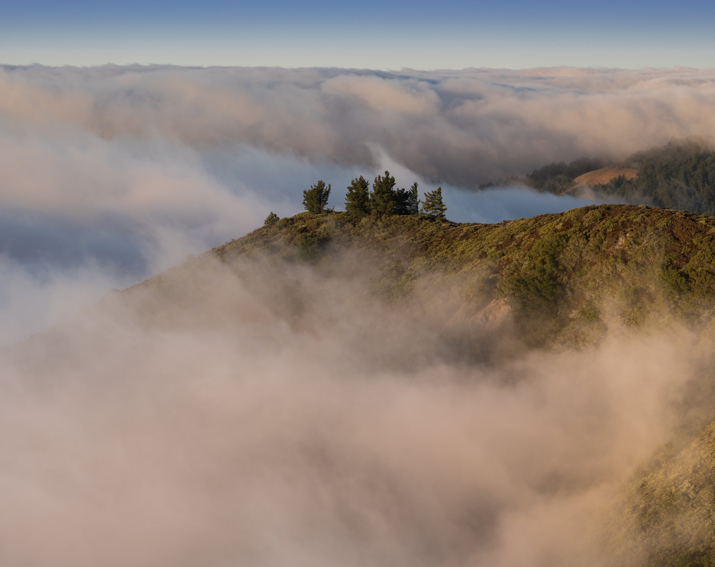 Good Morning California