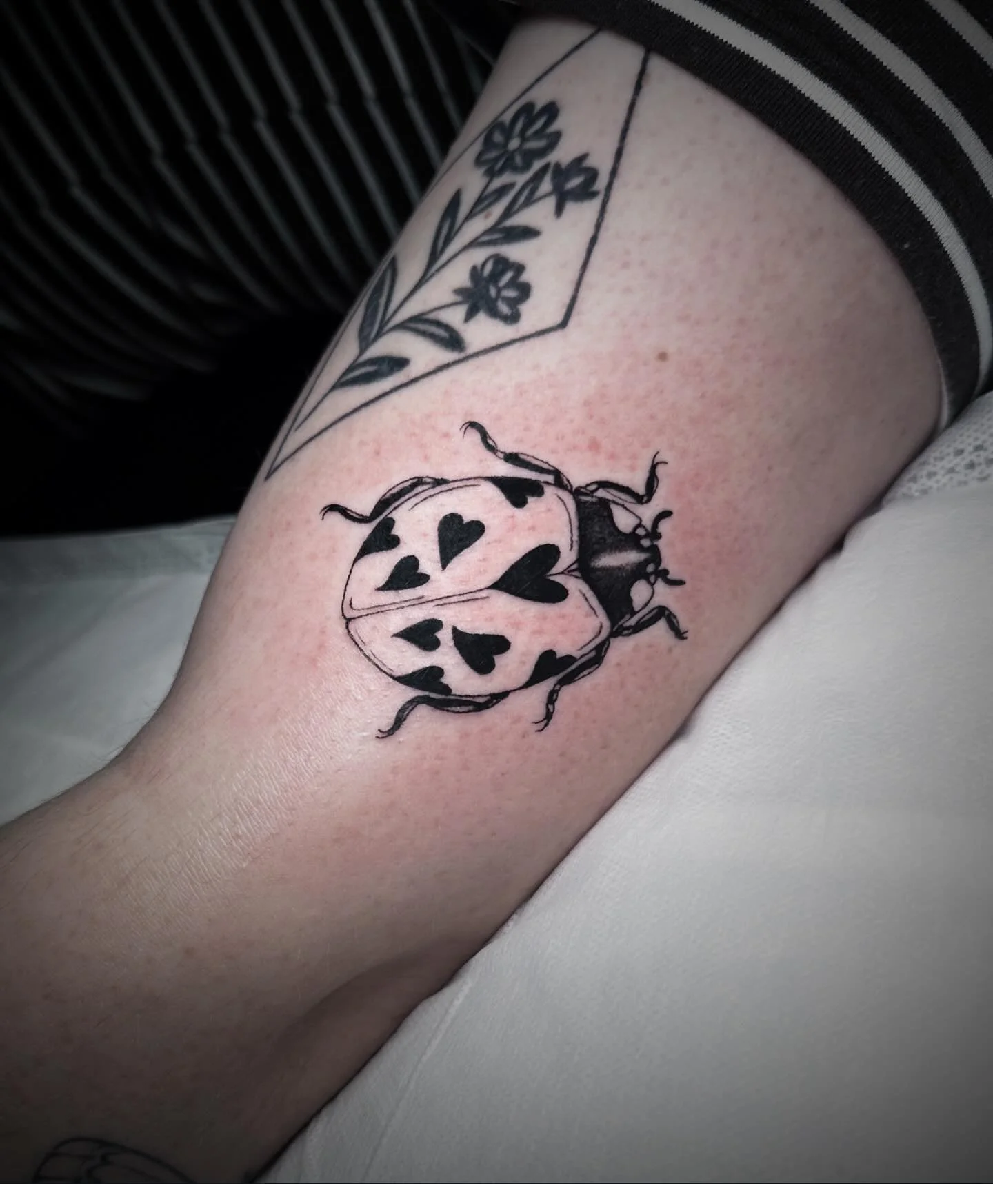 vivloretattoo_1772577173_3844977569016230418_9412898871_1.jpg
