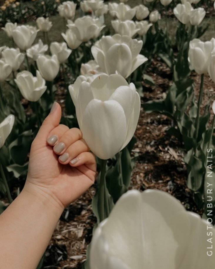 @jadorelyn 🌷 #lessismore #minimalist #tulips #tulipseason #glastonburyct #glastonburynails #gelmanicure #neutralnails