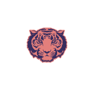 Level Up Cleaning Service