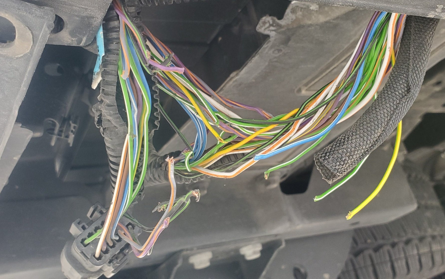 20251010_160322 (1).jpg