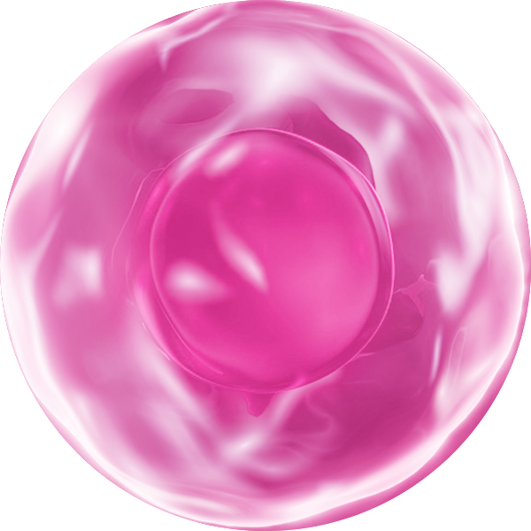 infinite-youth.png