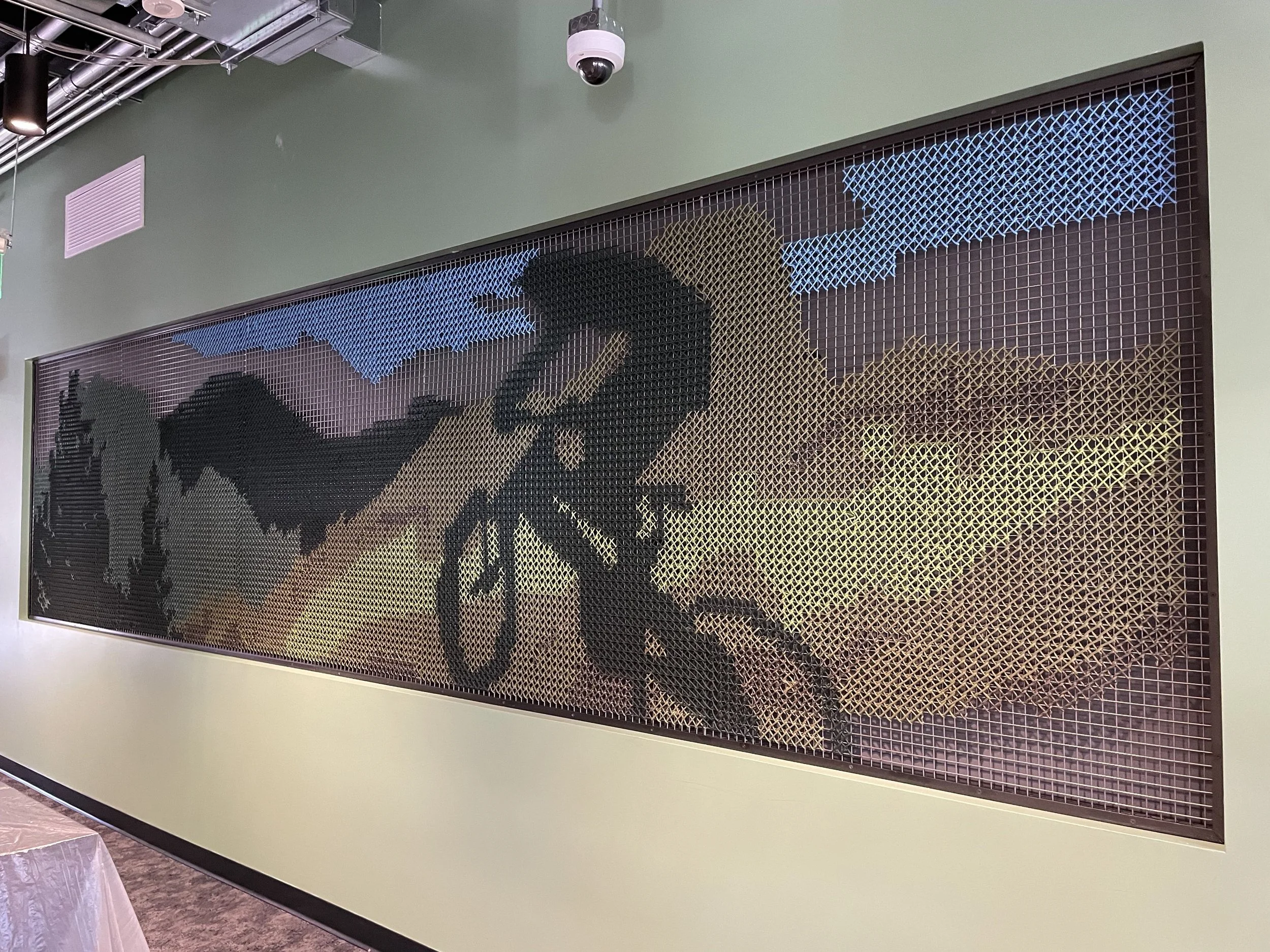 PMartin_SLO_Amazon_MtnBike_installed_2022 copy.jpg