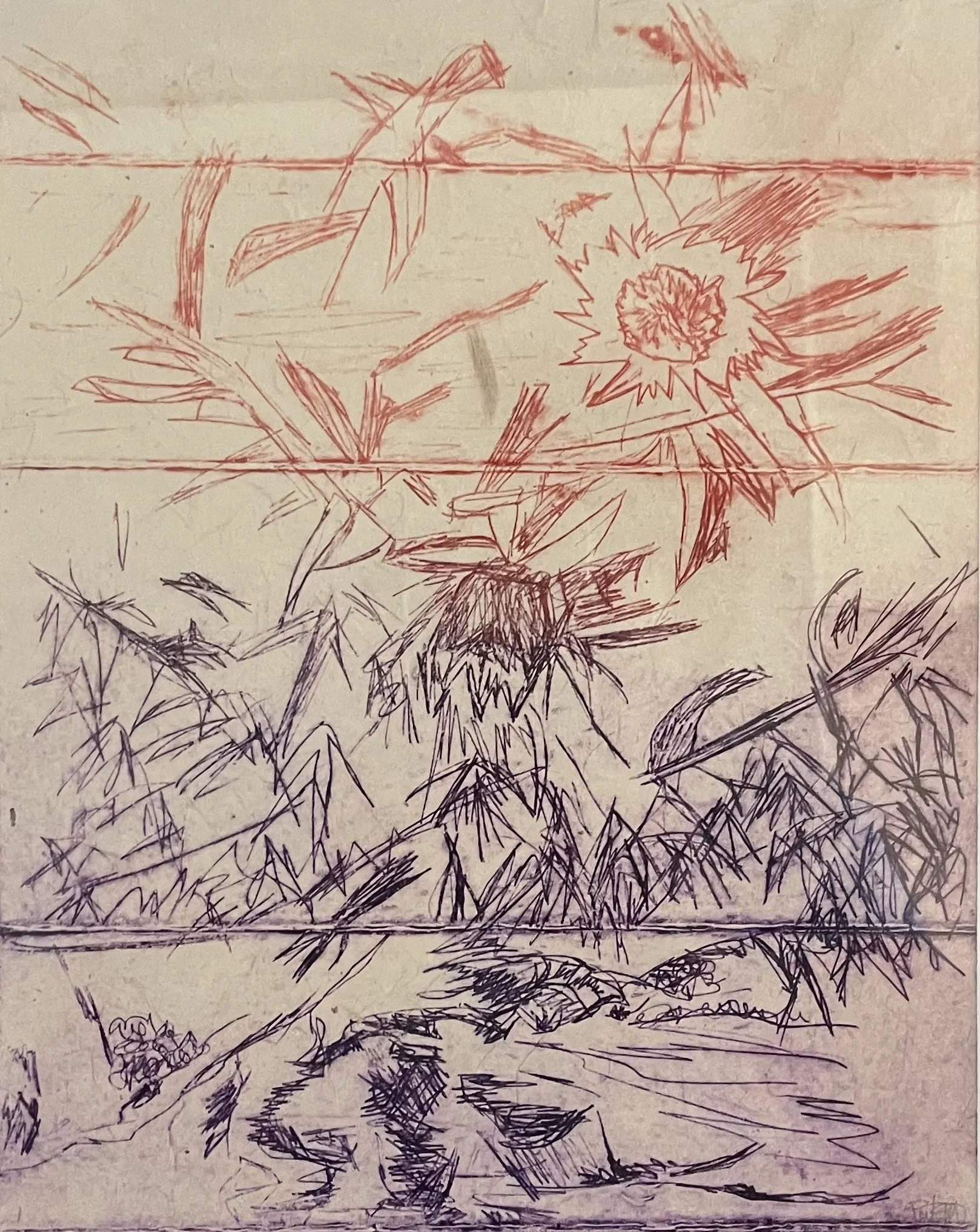 Life in a Estuary, 8" x 10", TetraPack drypoint etching