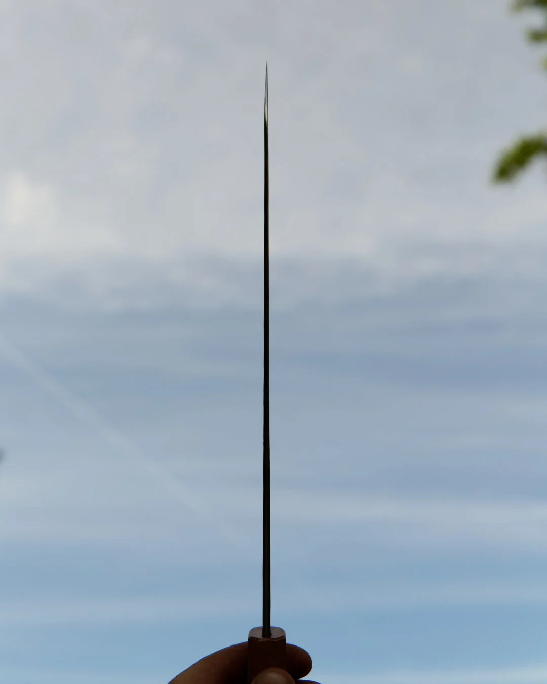 spine.jpg