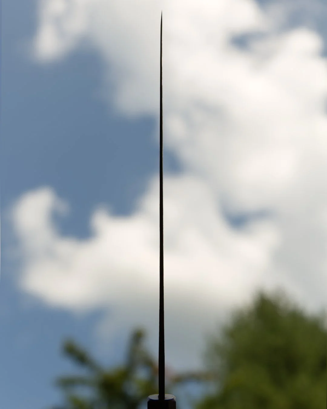 spine.jpg