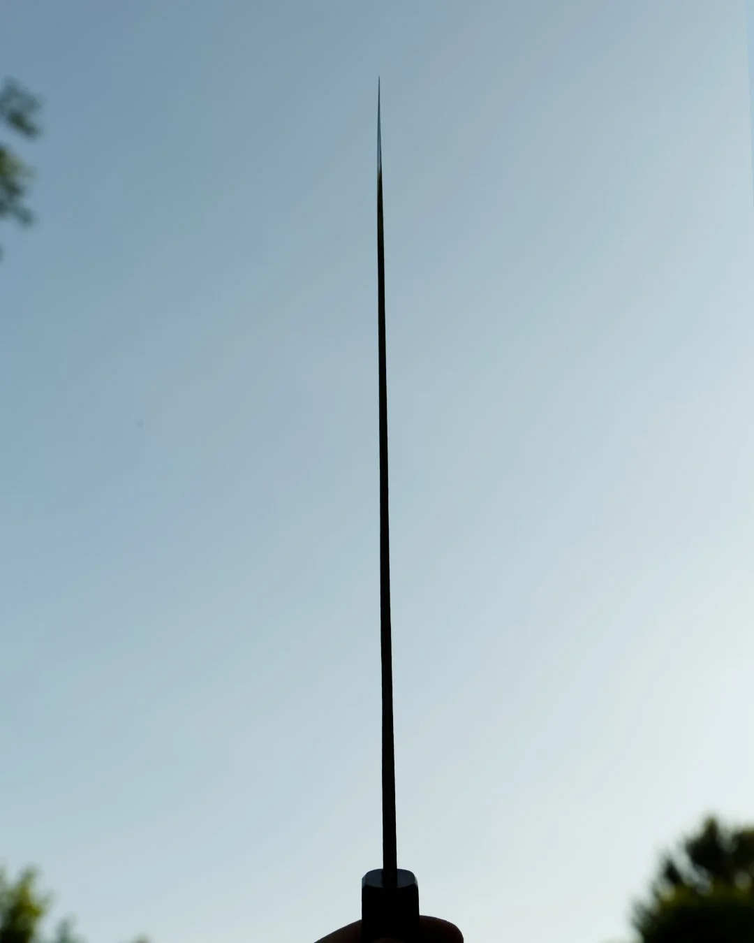 spine.jpg