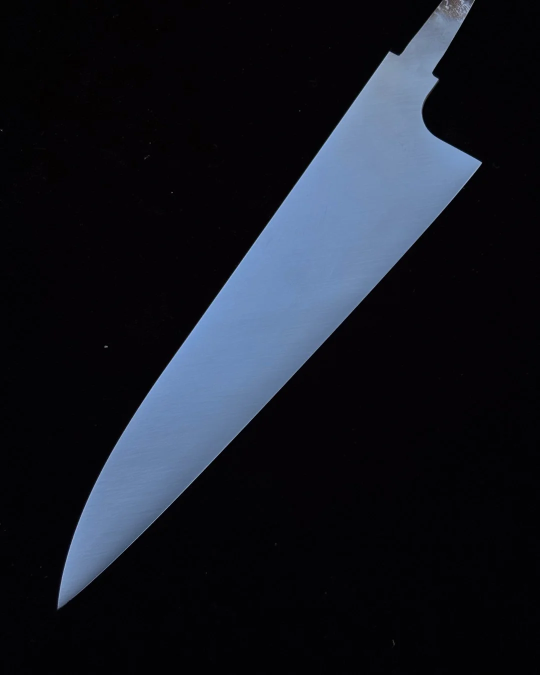 l1.jpg