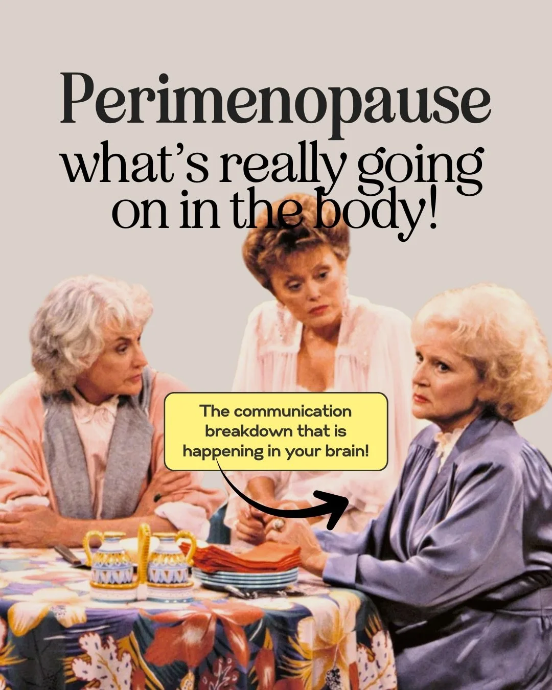 Blame it on the brain! And the Hypothalamus, Pituitary Glands and Ovaries/Adrenals 🧠 
We women are complicated fascinating creatures.

You can read the full article and more on Substack 🤓 
.
.
.
.
#femalehormones #perimenopausehealth #menopausecoac
