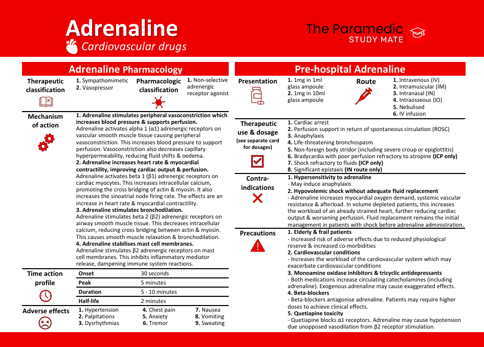 ADRENALINE PHARMACOLOGY FLASHCARDS BACK.png