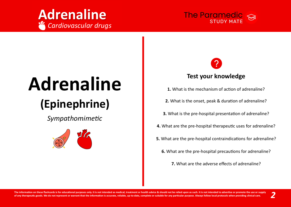 ADRENALINE PHARMACOLOGY FLASHCARDS FRONT.png