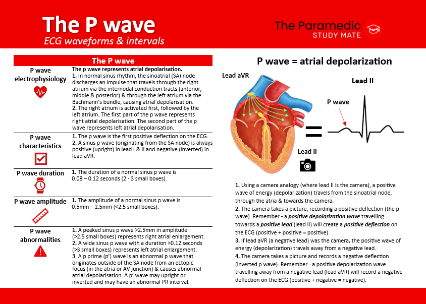 P WAVE ECG FLASHCARD BACK.png