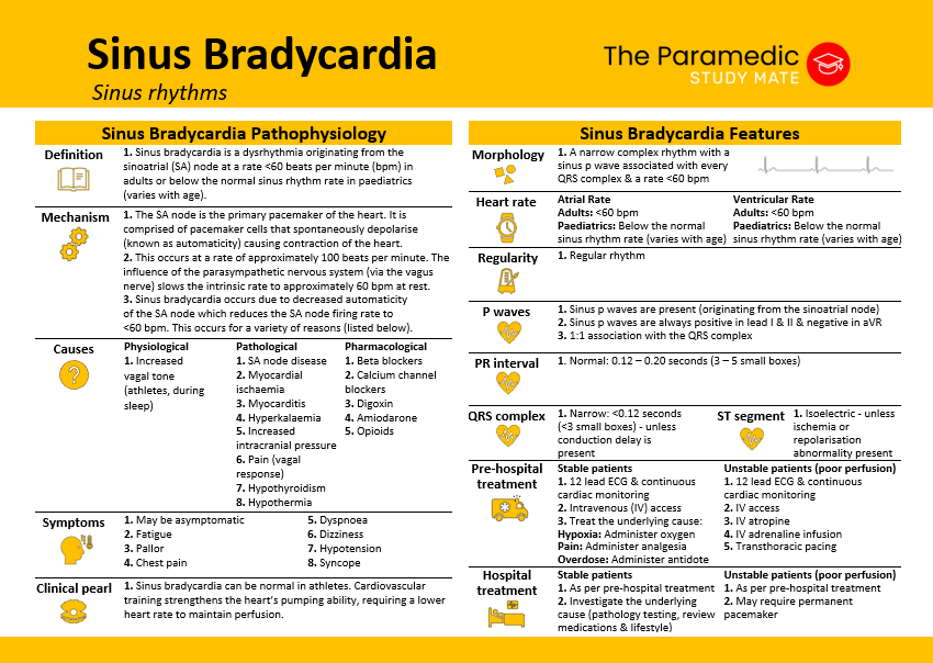 SINUS BRADYCARDIA 2026 EDITION BACK CARD.png