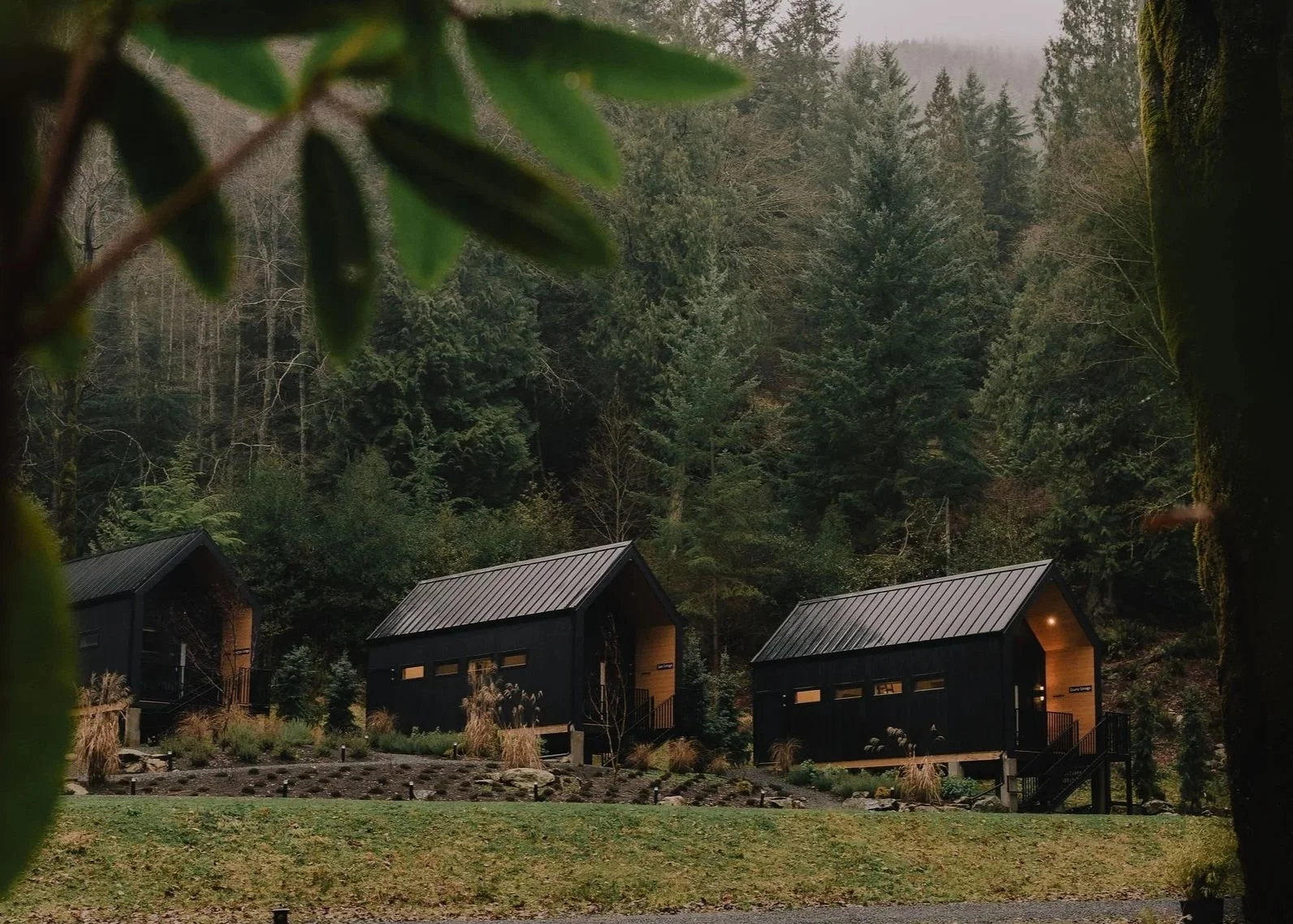 Online Yoga Studio Accessible Yoga