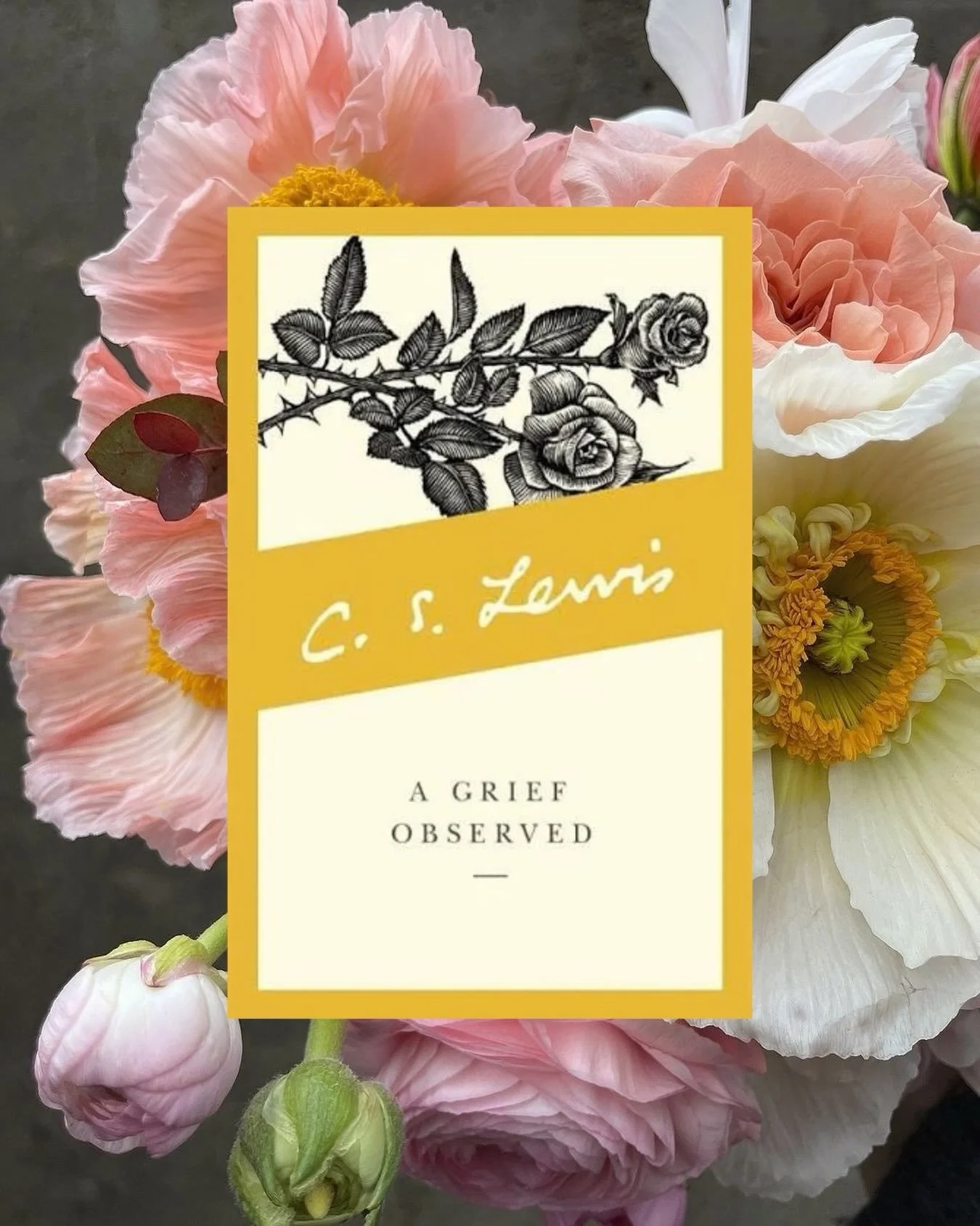 A Grief Observed by C.S. Lewis was a profoundly comforting read that articulated the exact world-crushing dissaray of losing someone you love. It showed me that I am navigating the black tunnel of pain as he once did - meaning that grief is something